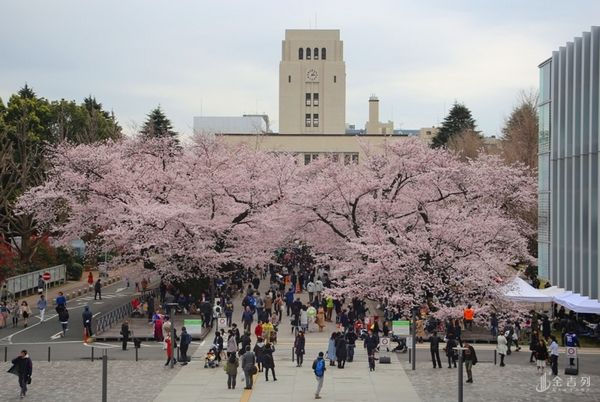 日本400家名企就职率排名1 位大学 金吉列大学长官网