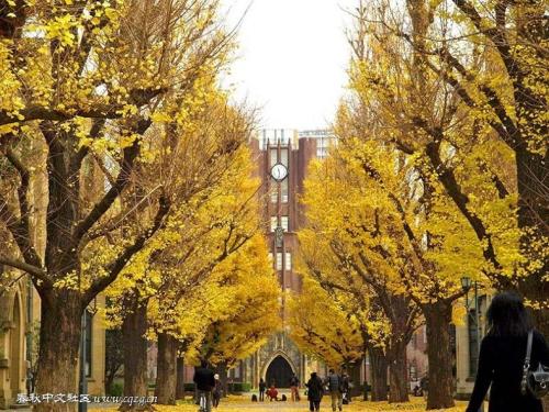 日本明校之东京大学详解-金吉列留学官网