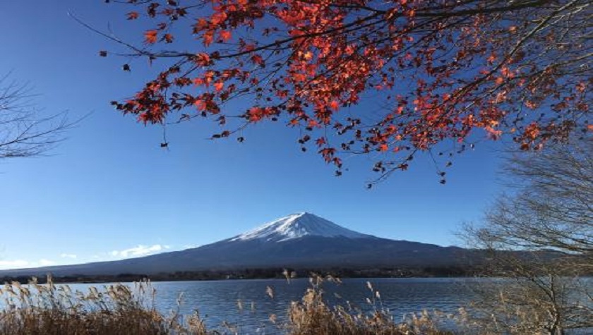 日本留学之东京理科大学 金吉列留学官网