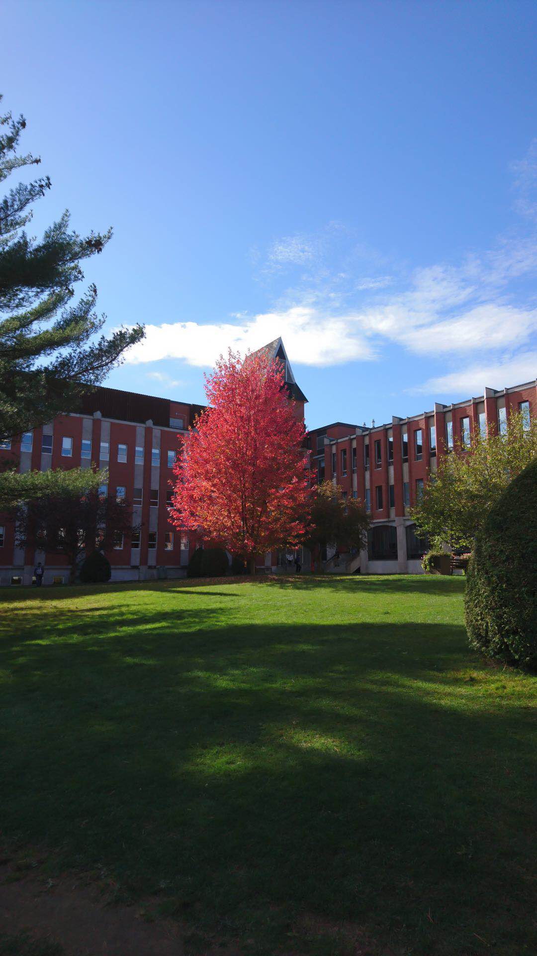 去乔治亚学院读书的同学们接机指南来啦