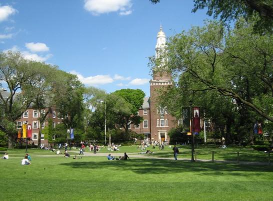 纽约城市学院(the city college of new york),usnews顶尖公立大学